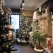 Shop Green Gallery Pirogova Street 3, Kiev