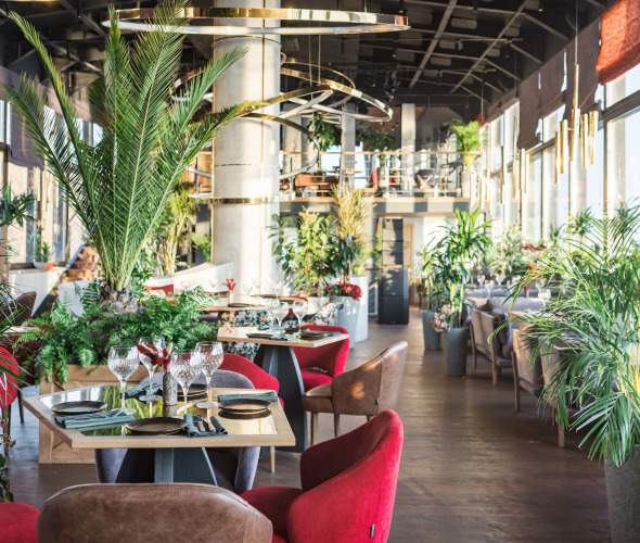 Restaurant HAVANA